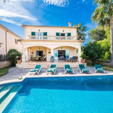 Ideal Property Mallorca - Didi 阿尔库迪亚 外观 照片