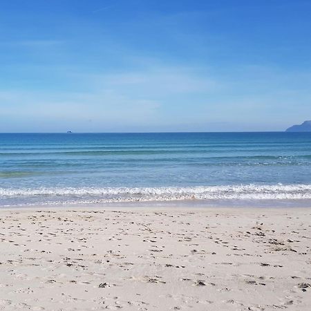 Ideal Property Mallorca - Didi 阿尔库迪亚 外观 照片