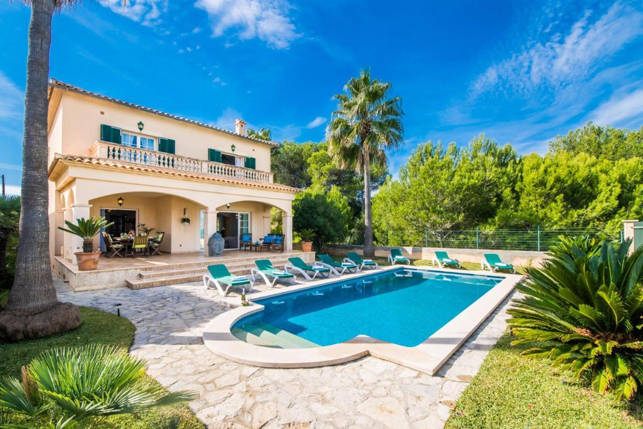 Ideal Property Mallorca - Didi 阿尔库迪亚 外观 照片