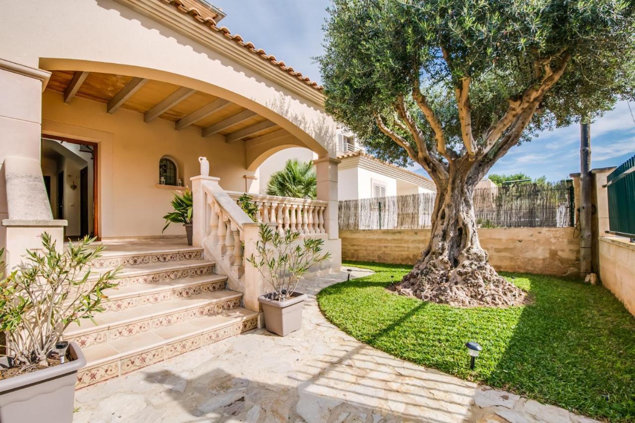Ideal Property Mallorca - Didi 阿尔库迪亚 外观 照片